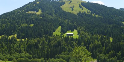 Urlaub auf dem Bauernhof - Umgebung: Urlaub in den Wäldern - Schnepfau - Bauernhof "Almfrieden"