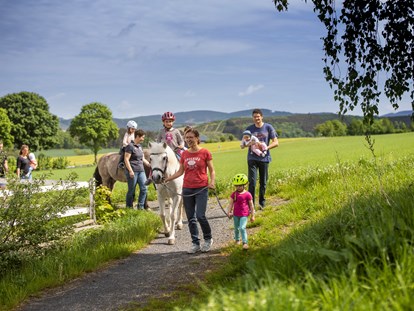 vacation on the farm - ideal für: Familien - Sauerland - Ponyreiten - Hardthof-Sauerland