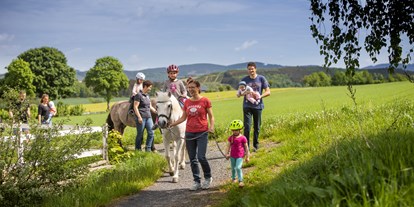Urlaub auf dem Bauernhof - Tiere am Hof: Schafe - Deutschland - Ponyreiten - Hardthof-Sauerland