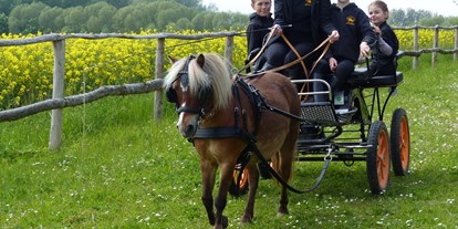 Urlaub auf dem Bauernhof - Mithilfe beim: Tiere füttern - Mecklenburg-Vorpommern - Ponykutschfahrten - Bernsteinland Barth
