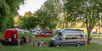 vacation on the farm - Fahrzeuge: Traktor - Campingplatz - Bernsteinland Barth
