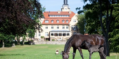 Urlaub auf dem Bauernhof - Mithilfe beim: Tiere füttern - Mecklenburg-Vorpommern - Bernsteinschloss - Bernsteinland Wendorf