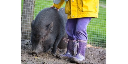 vacanza in fattoria - begehbarer Heuboden - Minischweine - Warfthof Wollatz - Nordseeurlaub mit Feinsinn