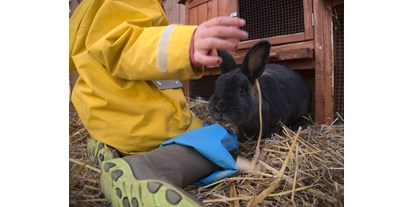 Urlaub auf dem Bauernhof - Mithilfe beim: Tiere füttern - Deutschland - Kaninchen - Warfthof Wollatz - Nordseeurlaub mit Feinsinn