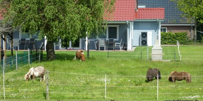 vacanza in fattoria - Schwimmen - Tating - Einige unserer Ponys - Ferienhof Karstens - Nordsee Schleswig- Holstein Dithmarschen nähe Büsum