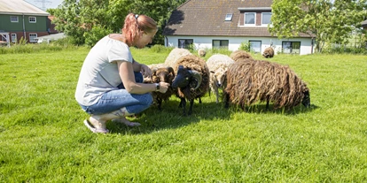 Urlaub auf dem Bauernhof - Mithilfe beim: Tiere füttern - Meldorf - Streicheltiere - Nordsee nähe Büsum Ferienhof Karstens