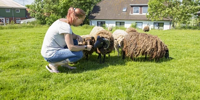 Urlaub auf dem Bauernhof - Umgebung: Urlaub in den Wäldern - Otterndorf - Streicheltiere - Nordsee nähe Büsum Ferienhof Karstens