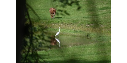 vacanza in fattoria - Tiere am Hof: Ponys - Warnow (Nordwestmecklenburg) - Ferienhof Hildebrandt
