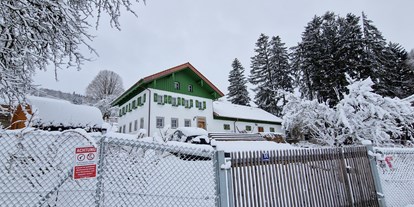 vacation on the farm - Tiere am Hof: Schafe - Germany - Michlshof im Winter - Landgut Michlshof