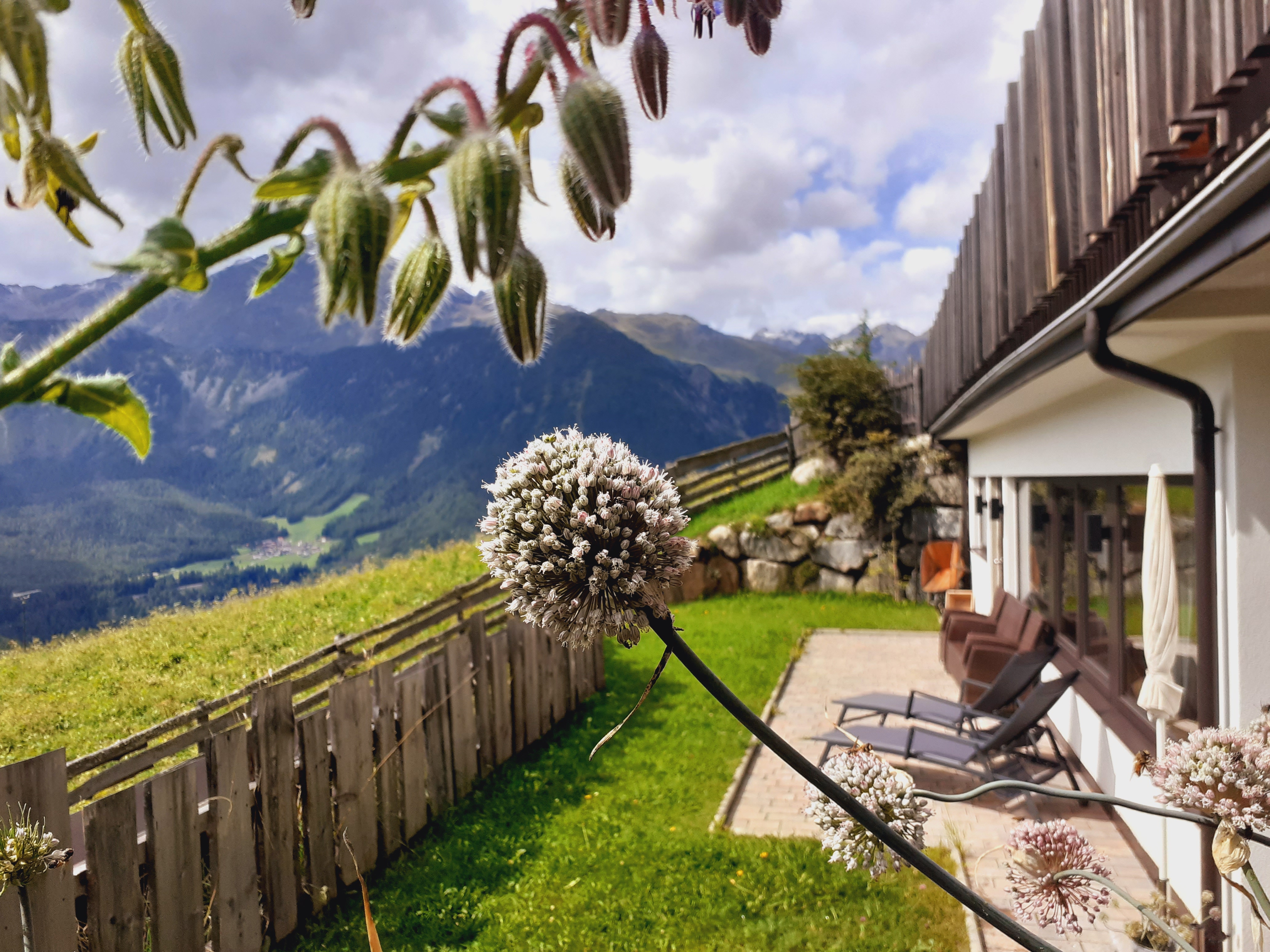 Angebote-Urlaub-am-Bauernhof: Liegebereich vor der Sauna - Bio und Reiterhof der Veitenhof: Sommer - Wellnesstage im Ötztal