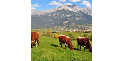 vacation on the farm - Angeln - Austria - Vorderkasbichlhof - Pension Schmiderer