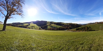 wakacje na farmie - Umgebung: Urlaub in den Feldern - Gstadt - Kornihof