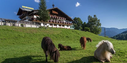 počitnice na kmetiji - Tiere am Hof: Ponys - Unterberg (Großarl, Dorfgastein) - Reiterhof Seiterhof