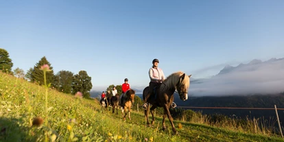Urlaub auf dem Bauernhof - ideal für: Sportler - Steuer - Reiten am Seiterhof - Reiterhof Seiterhof