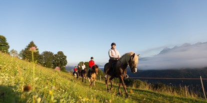 Urlaub auf dem Bauernhof - Tiere am Hof: Pferde - Weißpriach - Reiten am Seiterhof - Reiterhof Seiterhof