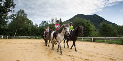 Urlaub auf dem Bauernhof - ideal für: Sportler - Ramsau am Dachstein - Reitplatz - Reiterhof Seiterhof