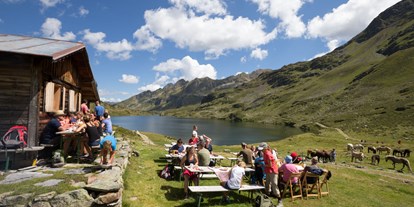 Urlaub auf dem Bauernhof - ideal für: Sportler - Ramsau am Dachstein - Almhütte am Giglachsee - Reiterhof Seiterhof