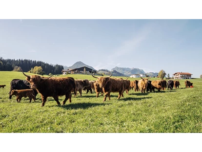 dovolená na farmě - Brötchenservice - Griesbachwinkl - Hochlandrinder - Feriengut Unterhochstätt