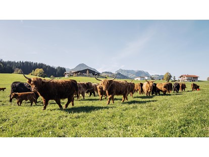 Urlaub auf dem Bauernhof - ideal für: Familien - Grießen (Leogang) - Hochlandrinder - Feriengut Unterhochstätt