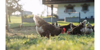 Urlaub auf dem Bauernhof - begehbarer Heuboden - Tirol - Hühner - Feriengut Unterhochstätt