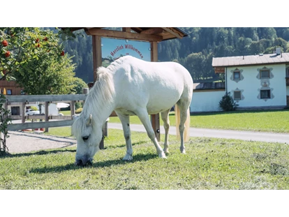 Urlaub auf dem Bauernhof - ideal für: Pärchen - Obsmarkt - Pferde - Feriengut Unterhochstätt