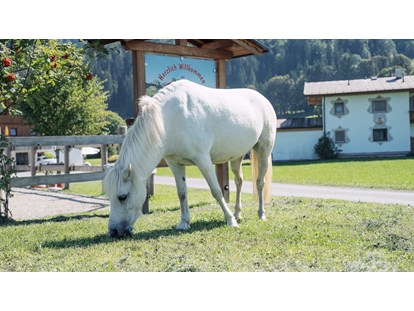 Urlaub auf dem Bauernhof - Tagesausflug möglich - Brand (Ebbs) - Pferde - Feriengut Unterhochstätt