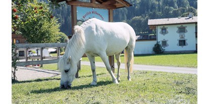 Urlaub auf dem Bauernhof - begehbarer Heuboden - Tiroler Unterland - Pferde - Feriengut Unterhochstätt