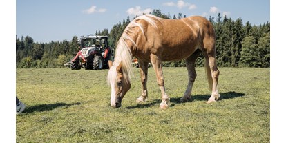 Urlaub auf dem Bauernhof - Tiroler Unterland - Pferde - Feriengut Unterhochstätt