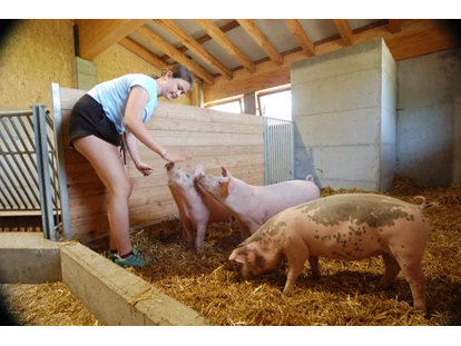 Urlaub auf dem Bauernhof - Schwimmmöglichkeit: Schwimmteich - Petting - Schweine - Feriengut Unterhochstätt