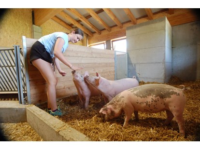 Urlaub auf dem Bauernhof - ideal für: Ruhesuchende - Österreich - Schweine - Feriengut Unterhochstätt