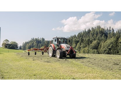 Urlaub auf dem Bauernhof - Tiere am Hof: Schweine - Traktorfahren - Feriengut Unterhochstätt