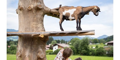 Urlaub auf dem Bauernhof - Hunde: erlaubt - PLZ 6233 (Österreich) - Ziegen - Feriengut Unterhochstätt
