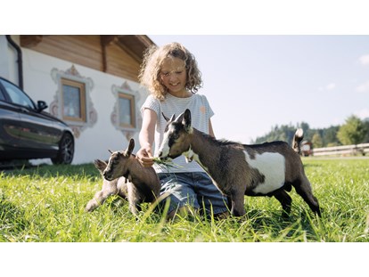 vacanza in fattoria - Tiere am Hof: Ponys - Stephanskirchen - Ziegen - Feriengut Unterhochstätt