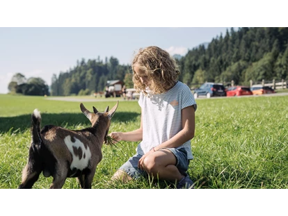 Urlaub auf dem Bauernhof - Tagesausflug möglich - Bsuch - Ziegen - Feriengut Unterhochstätt