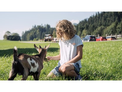 vacanza in fattoria - Tiere am Hof: Hühner - Schwendt (Schwendt) - Ziegen - Feriengut Unterhochstätt