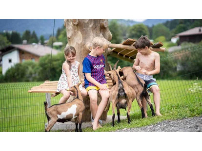 Urlaub auf dem Bauernhof - Verleih: Wanderstöcke - Obsmarkt - Ziegen - Feriengut Unterhochstätt