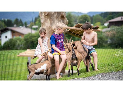 vacation on the farm - Art der Landwirtschaft: Tierhaltung - Berg (Leogang) - Ziegen - Feriengut Unterhochstätt
