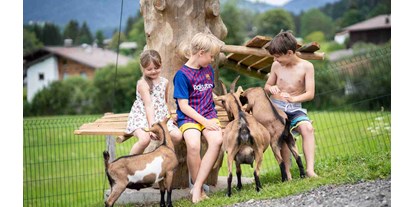 Urlaub auf dem Bauernhof - Tiere am Hof: Schweine - PLZ 6233 (Österreich) - Ziegen - Feriengut Unterhochstätt