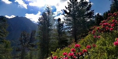 dovolenka na farme - Ötztal - Frühsommer, die Alpenrose blüht - Reiterhof Alpin Appart Familienhit im Frühsommer