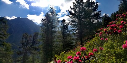 Urlaub auf dem Bauernhof - Frühsommer, die Alpenrose blüht - Reiterhof Alpin Appart Familienhit im Frühsommer