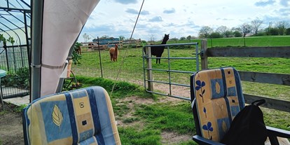 vacanza in fattoria - Tiere am Hof: Alpakas - Schleswig-Holstein - Sonnenscheinhof Alpakas 