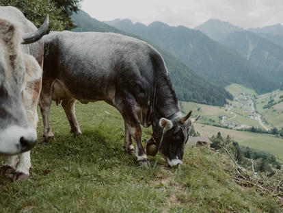 vacances à la ferme - Art der Landwirtschaft: Bergbauernhof - Südtirol - Auf der Weide fühlt sich Laura und Steffi wohl - Gogerer Hof