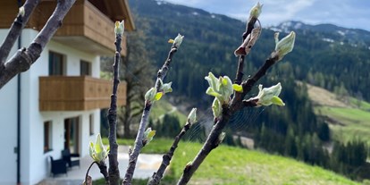 Urlaub auf dem Bauernhof - Jahreszeit: Frühlings-Urlaub - Salzburger Sportwelt - Außenansicht - Finkhof Appartements