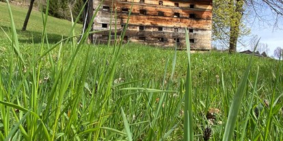 Urlaub auf dem Bauernhof - Mithilfe beim: Tiere füttern - Salzburger Sportwelt - alte Bienenhütte - Finkhof Appartements