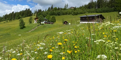 Urlaub auf dem Bauernhof - ideal für: Ruhesuchende - Lacken (Taxenbach) - unser Hof - Finkhof Appartements