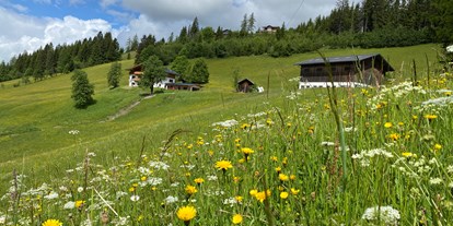 vacanza in fattoria - Art der Landwirtschaft: Bergbauernhof - Lidaun - unser Hof - Finkhof Appartements
