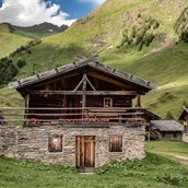 Holiday farm - Lechnerhütte