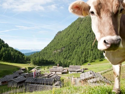 vakantie op de boerderij - Mühlen in Taufers - Lechnerhütte