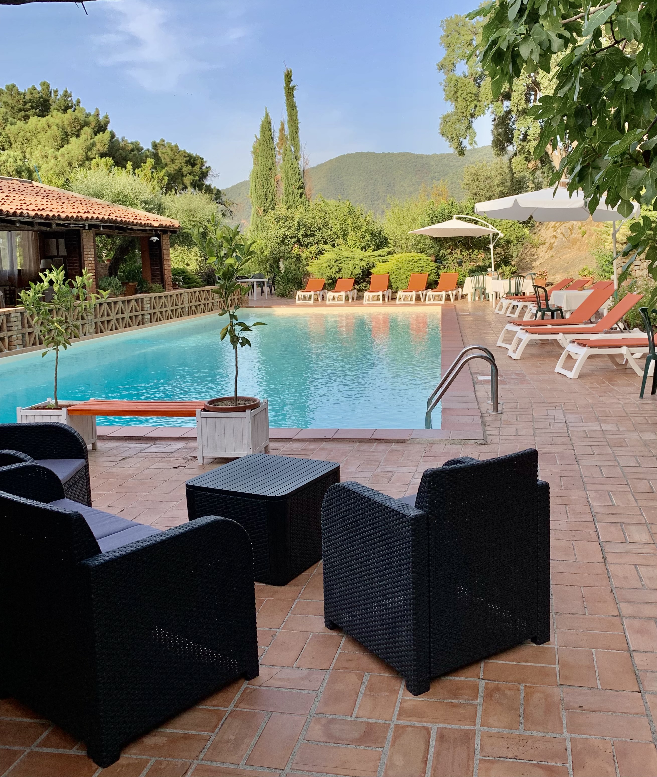 Počitniška kmetija - Piscina  - Fattoria di Grenne - Azienda Agrituristica Piccolo 