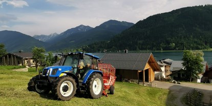 vacation on the farm - Traktor fahren - Oberallach (Trebesing) - Ferienhof Neusacher-Moser